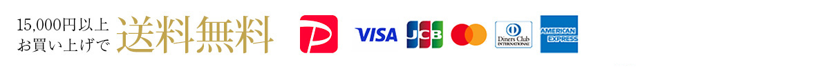送料無料 PayPay クレジットカード VISA JCB Diners Mastercard AMERICAN EXPRESS
